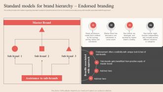 Standard Models For Brand Hierarchy Endorsed Branding Optimum Brand Promotion By Product