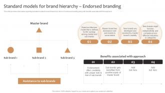 Standard Models For Brand Hierarchy Endorsed Branding Product Corporate And Umbrella Branding