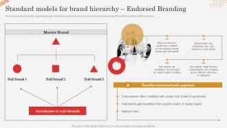 Standard Models For Brand Hierarchy Endorsed Branding Successful Brand Expansion Through