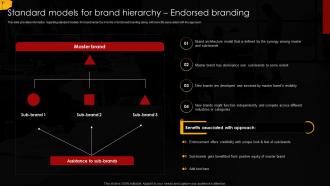 Standard Models For Brand Hierarchy Endorsed Branding Umbrella Branding To Manage Brands Family