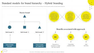 Standard Models For Brand Hierarchy Hybrid Branding Brand Maintenance Through Effective Branding SS