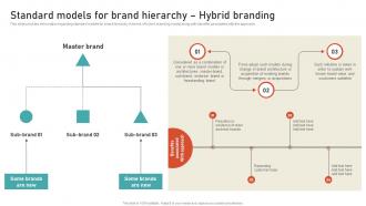 Standard Models For Brand Hierarchy Hybrid Branding Leveraging Brand Equity For Product