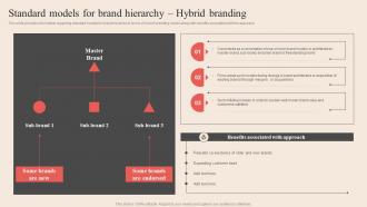 Standard Models For Brand Hierarchy Hybrid Branding Optimum Brand Promotion By Product