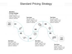 Standard pricing strategy ppt powerpoint presentation layout cpb