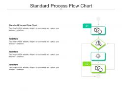 Standard process flow chart ppt powerpoint presentation file slides cpb