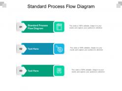 Standard process flow diagram ppt powerpoint presentation ideas design inspiration cpb