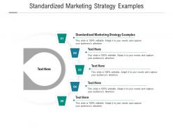Standardized marketing strategy examples ppt powerpoint presentation gallery slideshow cpb