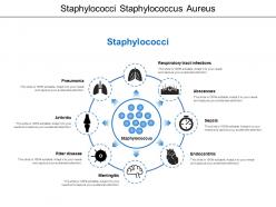 Staphylococci staphylococcus aureus