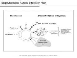 Staphylococcus aureus effects on host