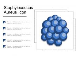 Staphylococcus aureus icon