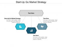 Start up go market strategy ppt powerpoint presentation infographic template example 2015 cpb