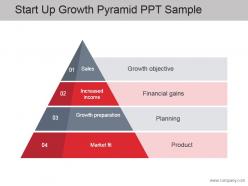 Start up growth pyramid ppt sample