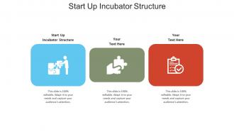 Start up incubator structure ppt powerpoint presentation infographic template example file cpb