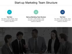 Start up marketing team structure ppt powerpoint presentation professional templates cpb
