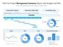 Start up project management summary report with budget and risk