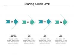 Starting credit limit ppt powerpoint presentation professional cpb
