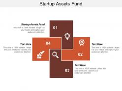 Startup assets fund ppt powerpoint presentation inspiration introduction cpb