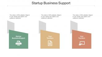 Startup Business Support Ppt Powerpoint Presentation File Icons Cpb