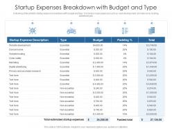 Startup expenses breakdown with budget and type
