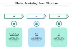 Startup marketing team structure ppt powerpoint presentation styles format cpb