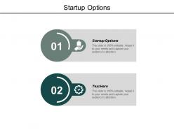 Startup options ppt powerpoint presentation model graphics design cpb