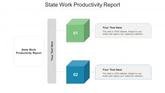 State Work Productivity Report Ppt Powerpoint Presentation Professional Brochure Cpb