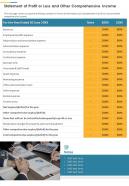 Statement Of Profit Or Loss And Other Comprehensive Income Template 30 Report Infographic PPT PDF Document