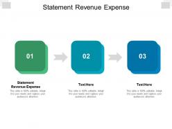 Statement revenue expense ppt powerpoint presentation outline background cpb