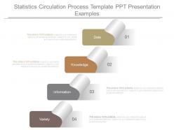 Statistics circulation process template ppt presentation examples