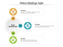 Status meetings agile ppt powerpoint presentation outline icons cpb