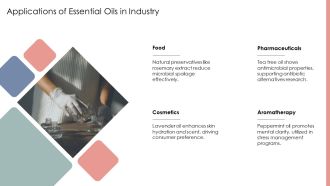 Steam Distillation Extracting Essential Oils Professionally PPT Guidelines AT Professional Downloadable