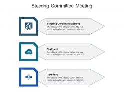 Steering committee meeting ppt powerpoint presentation styles visual aids cpb