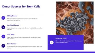 Stem Cell Transplant PPT Example ACP Good Images