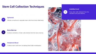 Stem Cell Transplant PPT Example ACP Content Ready Images