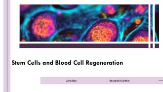 Stem Cells And Blood Cell Regeneration PPT PowerPoint AT