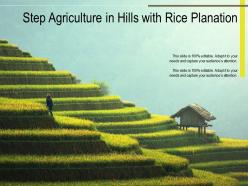 Step Agriculture In Hills With Rice Planation