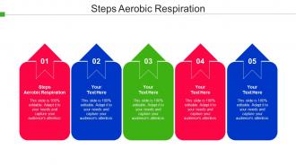Steps Aerobic Respiration Ppt Powerpoint Presentation Infographic Template Brochure Cpb