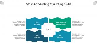 Steps conducting marketing audit ppt powerpoint presentation file show cpb