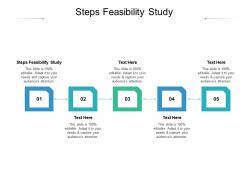 Steps feasibility study ppt powerpoint presentation file portfolio cpb