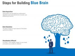 Steps For Building Blue Brain