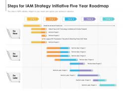 Steps for iam strategy initiative five year roadmap