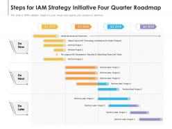 Steps For IAM Strategy Initiative Four Quarter Roadmap