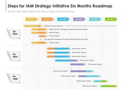 Steps for iam strategy initiative six months roadmap