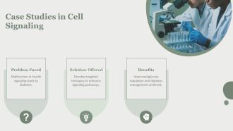 Steps In Cell Signaling In Organisms PPT Demonstration AT Unique Attractive