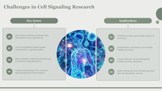 Steps In Cell Signaling In Organisms PPT Demonstration AT Content Ready Attractive