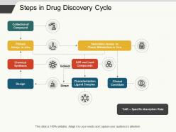 Steps in drug discovery cycle