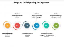Steps of cell signaling in organism