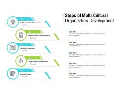 Steps of multi cultural organization development