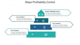 Steps profitability control ppt powerpoint presentation slides themes cpb