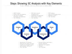 Steps showing 5c analysis with key elements